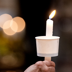 Vesper am Tag des geweihten Lebens / Erzdiözese Wien/Schönlaub