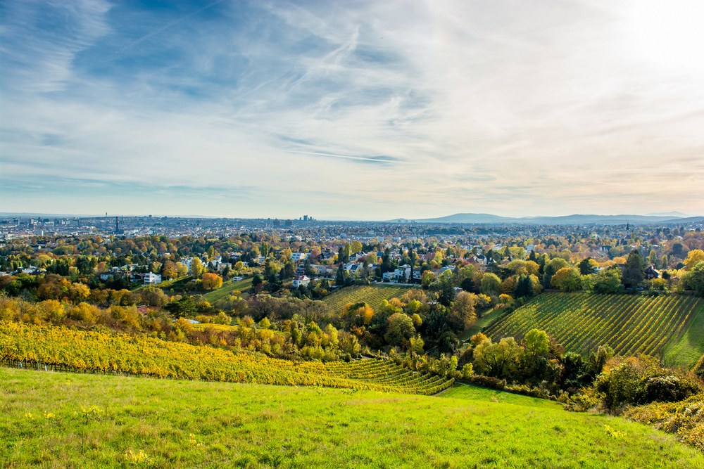 Blick von den Weinbergen auf Wien.